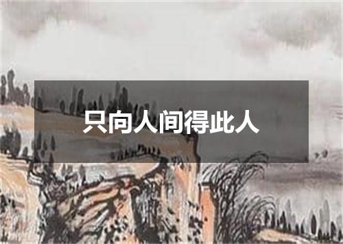 只向人间得此人