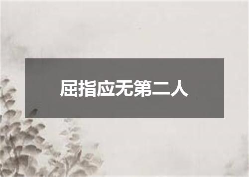 屈指应无第二人