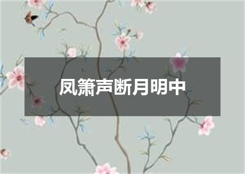 凤箫声断月明中