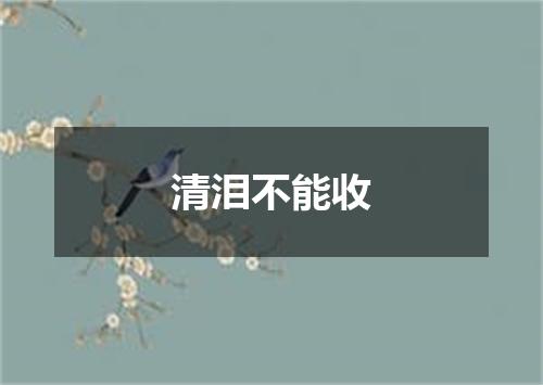 清泪不能收