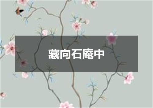 藏向石庵中