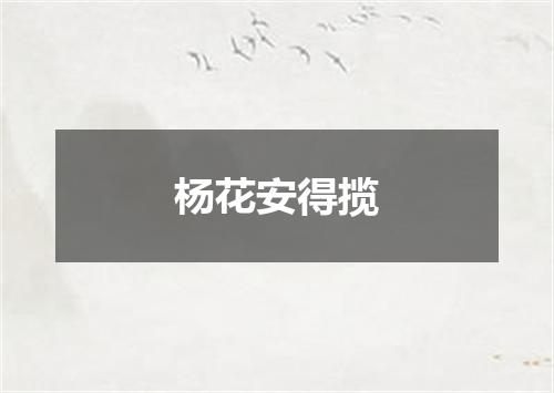 杨花安得揽