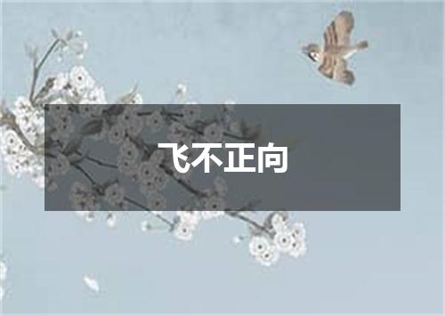 飞不正向