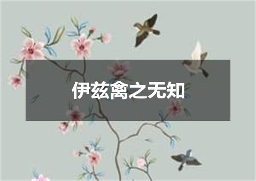伊兹禽之无知