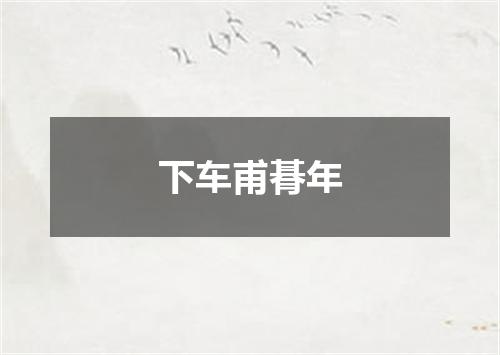 下车甫朞年