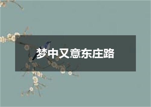 梦中又意东庄路