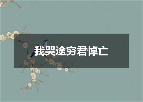 我哭途穷君悼亡