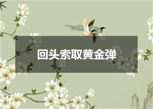 回头索取黄金弹