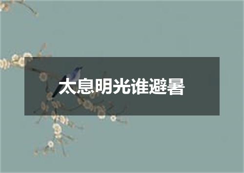 太息明光谁避暑