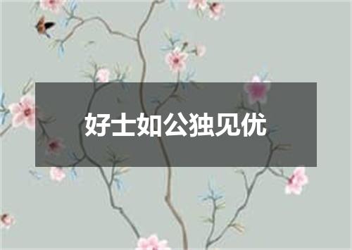 好士如公独见优