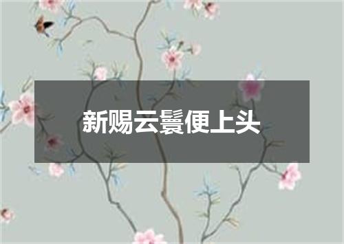 新赐云鬟便上头