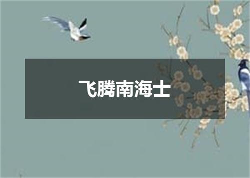 飞腾南海士