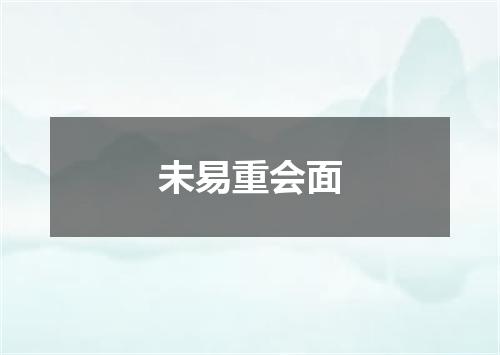 未易重会面