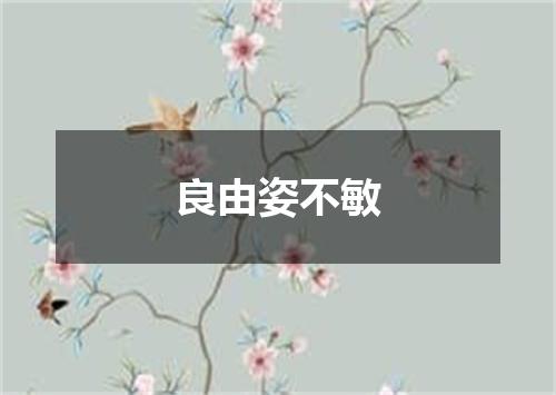 良由姿不敏
