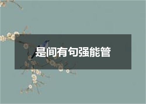 是间有句强能管