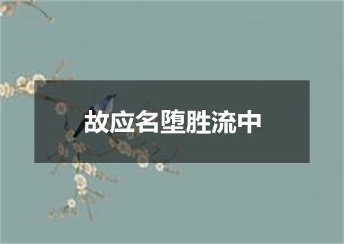 故应名堕胜流中