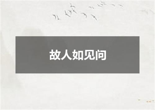 故人如见问
