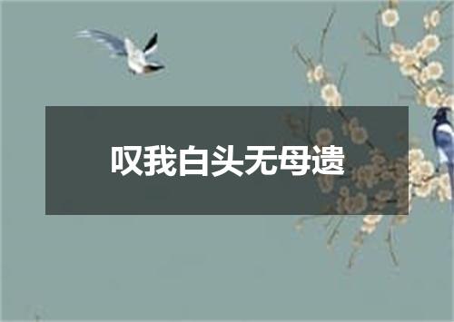 叹我白头无母遗