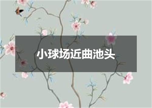 小球场近曲池头
