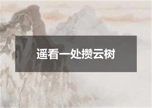遥看一处攒云树