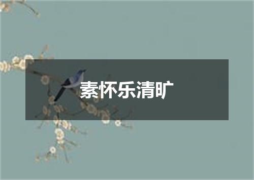 素怀乐清旷