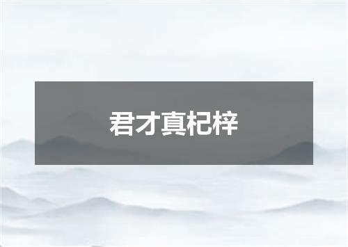 君才真杞梓