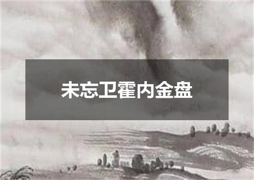 未忘卫霍内金盘