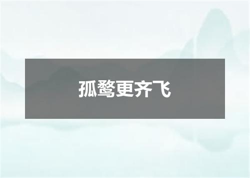 孤鹜更齐飞