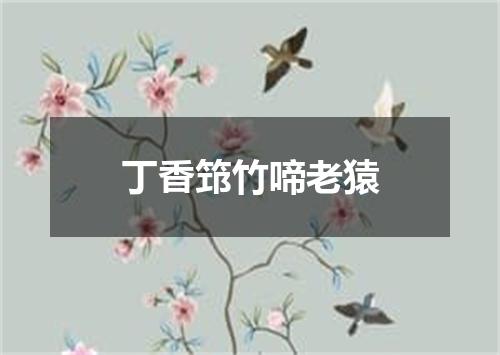 丁香筇竹啼老猿