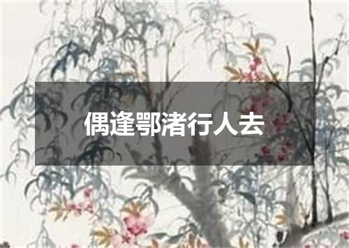 偶逢鄂渚行人去