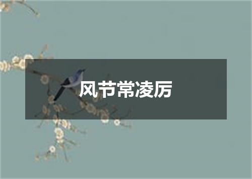 风节常凌厉