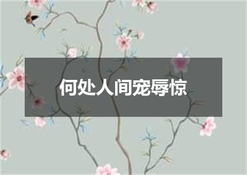 何处人间宠辱惊