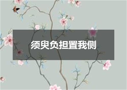 须臾负担置我侧