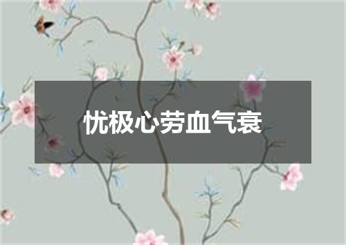 忧极心劳血气衰