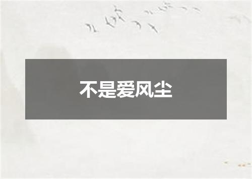 不是爱风尘