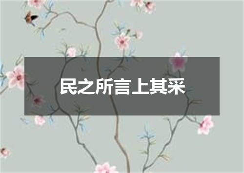 民之所言上其采