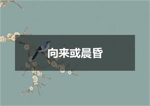 向来或晨昏