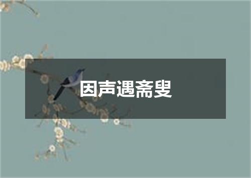 因声遇斋叟