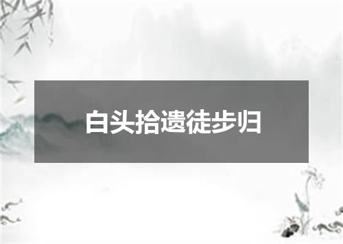 白头拾遗徒步归