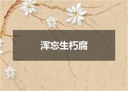 浑忘生朽腐