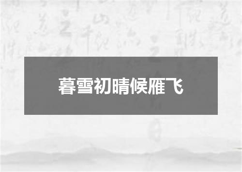 暮雪初晴候雁飞