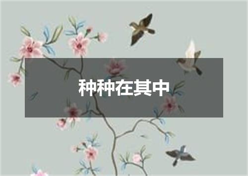 种种在其中