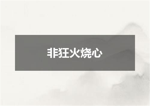 非狂火烧心