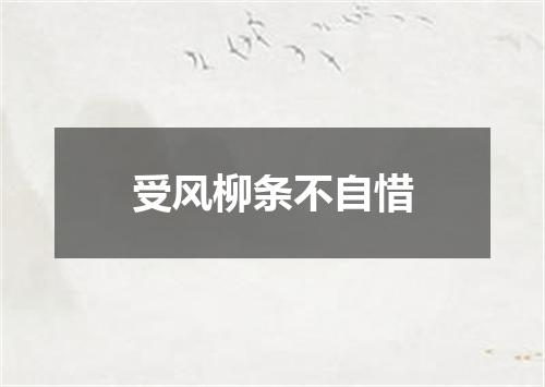 受风柳条不自惜
