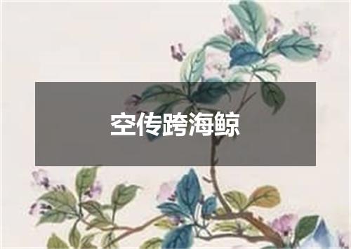 空传跨海鲸