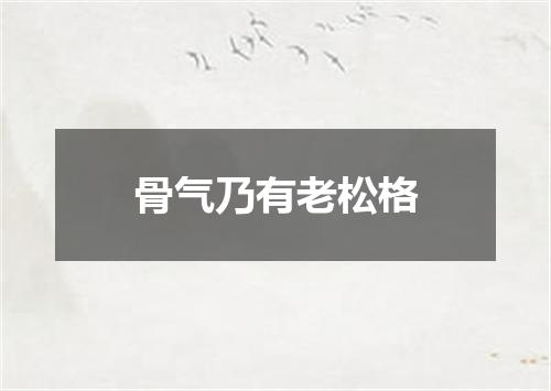 骨气乃有老松格
