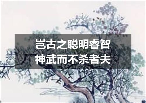 岂古之聪明睿智神武而不杀者夫