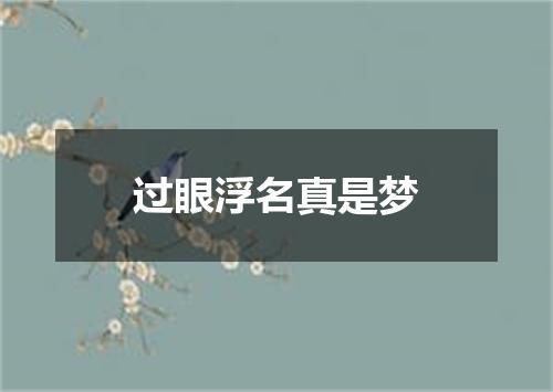 过眼浮名真是梦