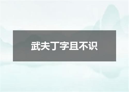 武夫丁字且不识