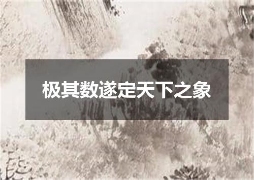 极其数遂定天下之象